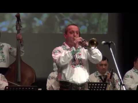 ,,DINU CROITOR   8.mart 2016''