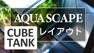 【AQUASCAPE】キューブ水槽立ち上げレイアウト【小型水草水槽】#11