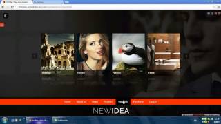 New Idea Responsive Wordpress Theme Preview - 2013 Feature Person,Company Website