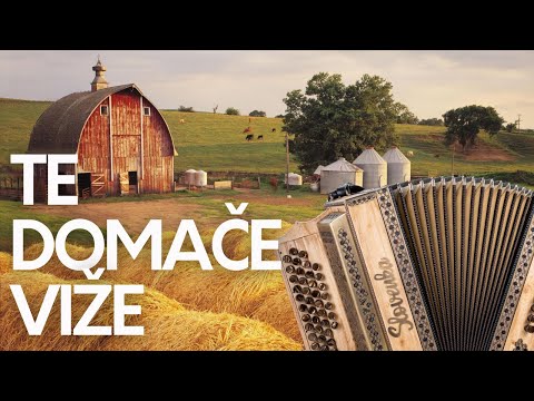 Klemen Rošer zaigra skladbo TE DOMAČE VIŽE, Fantov vseh vetrov ...