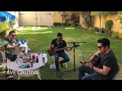 Pancho de la Fuente - Ave Cautiva “Domingueando”