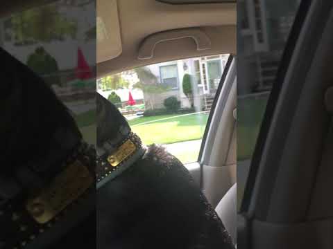 Love to ride next to Ma