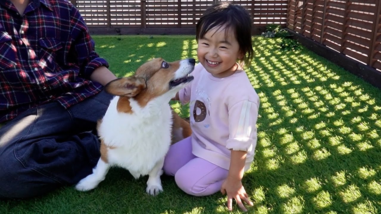 ぽてとに3歳の妹ができました