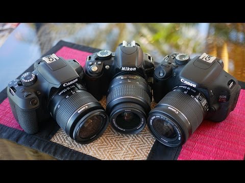 Best Beginner DSLR Cameras 2025