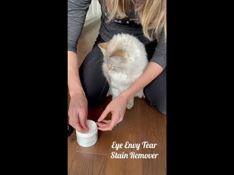 Easily clean your cat's eyes and prevent staining with Eye Envy.