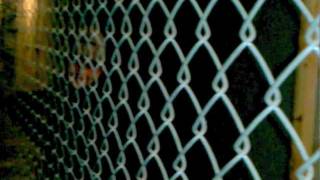 in the basement part 1