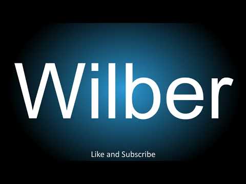 How to correctly pronounce in American and British English - Wilber.