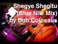 Trumpet Improv on 'Shegye Shegitu (Blue Nile Mix)' by Dub Colossus
