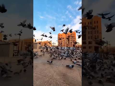 6 de novembro de 2023