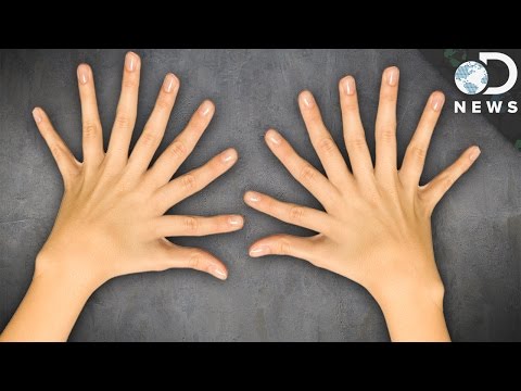 なぜ指と足の指が10本もあるのか？ (Why Do We Have 10 Fingers and 10 Toes?)