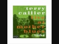 Terry Callier - Work Song 