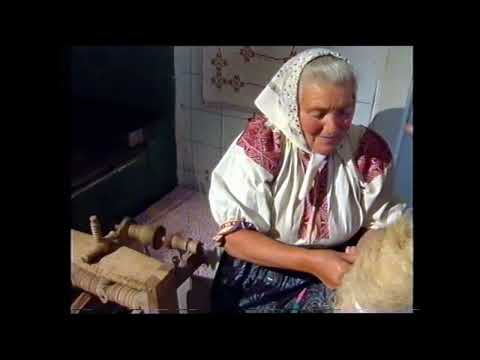 Rajecká Lesná - rok na dedine