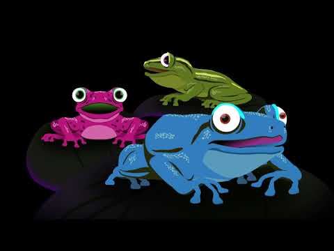 Xenia Rubinos - "Cógelo Suave"