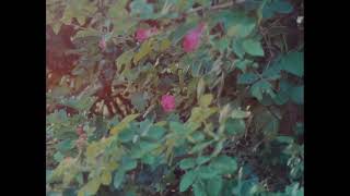 Everyday | June 2024 | Beauty | Life |