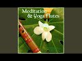 Healing Drums Meld with Flutes (Light Percussion for Yoga)