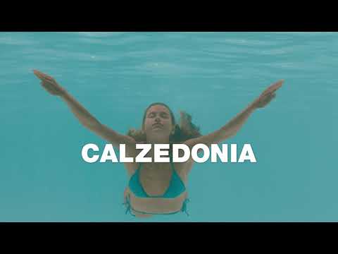 SUMMER 2021 - SHINY COLLECTION