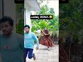 MDMA പാത്തു Malayalam Comedy Videos Dubai Pathu S Viral Funny Shorts Trending Comedy Vid