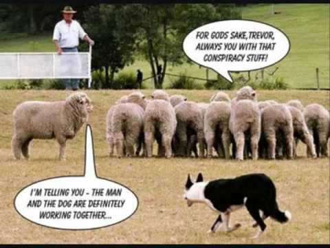SuperManning - Sheeple (ft. Phil Nastyy) LMAO