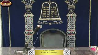 בית המדרש "תורת דוד" ¤ שידור חי ¤ י"א תמוז תשפ"ה (7.7.2025) (מוסדות תורת דוד) - התמונה מוצגת ישירות מתוך אתר האינטרנט יוטיוב. זכויות היוצרים בתמונה שייכות ליוצרה. קישור קרדיט למקור התוכן נמצא בתוך דף הסרטון