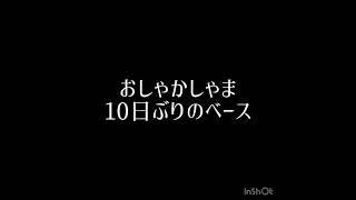おしゃかしゃまイントロベースで弾いてみた