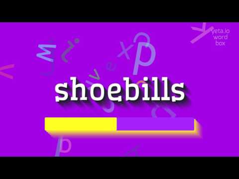 HOW TO PRONOUNCE SHOEBILLS? #shoebills