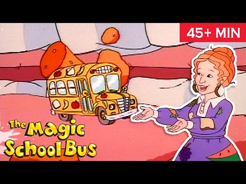 For Lunch | Goes Cellular | Full Episodes | The Magic School Bus | Scholastic Classic