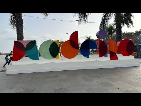 Funchal Madeira Tour / Painted Doors, Cristiano Ronaldo, Blandys Wine Lodge, Carnaval 2023