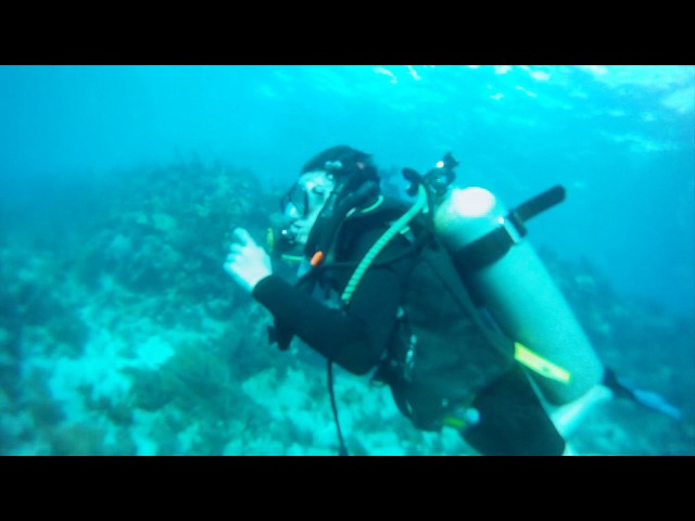 Coral Reef SCUBA diving at John Pennekamp State Park