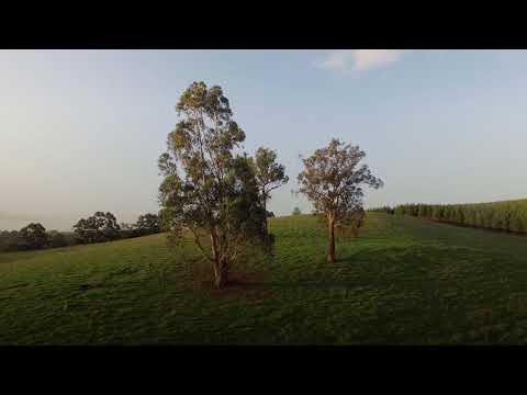 E kush e ka frikë Allahun, atij Ai i hap rrugë dhe e furnizon atë prej nga nuk e pret fare