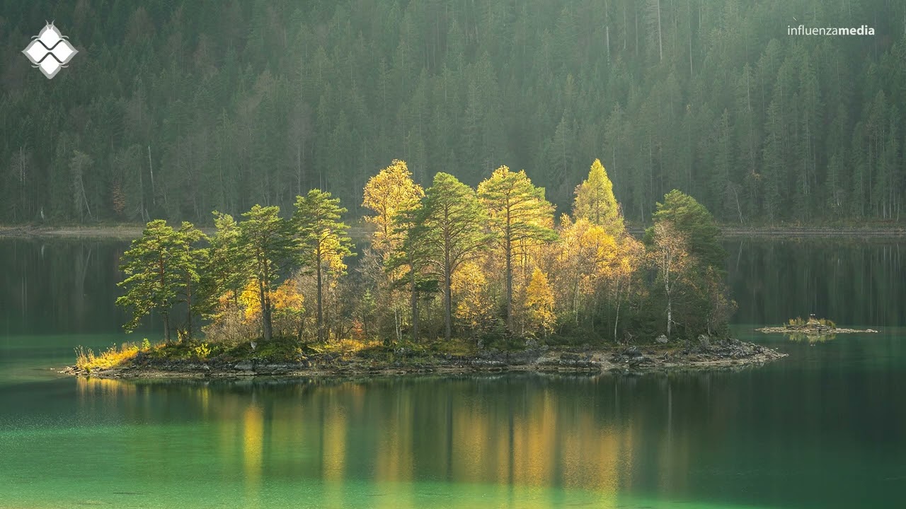 nCamargo - Safe Haven