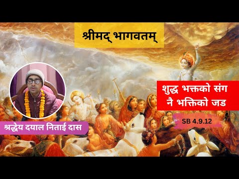 शुद्ध भक्तको संग नै भक्तिको जड ।। ध्रुव स्तुति - श्लोक ७ ।। HG Dayal Nitai Das || SB 4.9.12