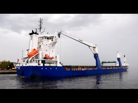 BBC HAREN Grain in the Rain