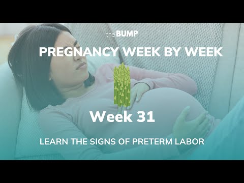 This week in Babyland (Week 31)