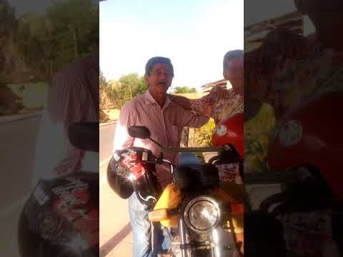 Zé leitão e Zé torao😀😀😀