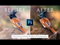 Processing YOUR Wildlife Photography Ep. 1 + UPCOMING SERIES Announcement