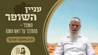 הרב איתמר אורבך | שופר | השופר - מהמדבר ועד ראש השנה | ט' אלול תשפ"ה | ישיבת מרכז הרב (ישיבת מרכז הרב) - התמונה מוצגת ישירות מתוך אתר האינטרנט יוטיוב. זכויות היוצרים בתמונה שייכות ליוצרה. קישור קרדיט למקור התוכן נמצא בתוך דף הסרטון הרב איתמר אורבך | שופר | השופר - מהמדבר ועד ראש השנה | ט' אלול תשפ"ה | ישיבת מרכז הרב (ישיבת מרכז הרב) - התמונה מוצגת ישירות מתוך אתר האינטרנט יוטיוב. זכויות היוצרים בתמונה שייכות ליוצרה. קישור קרדיט למקור התוכן נמצא בתוך דף הסרטון