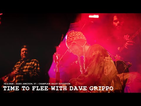 Time To Flee - Goose