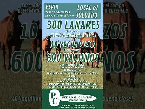 27/2/2026 Local el Soldado - Lavalleja - Pedro G. Clavijo I Clic Rural