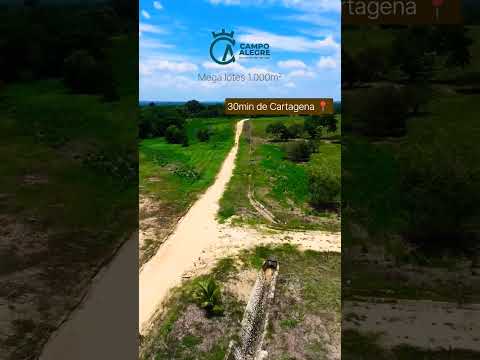 campo Alegre 🦋 Arjona Bolivar 📍 proyecto Campestre