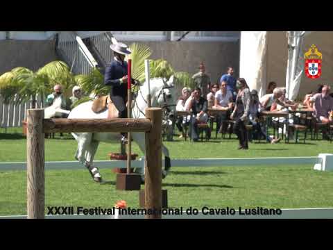 XXXII Festival Intern do Cavalo Lusitano - Equit Trabalho Maneabilidade Highlights 3 primeiros