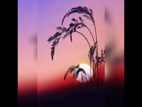 Phiến lá thu rơi Sheet - Quang Huỳnh