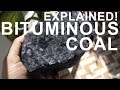 How coal is formed - Practically demonstration!