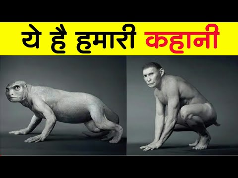 Rj Pallaw Fact Voice