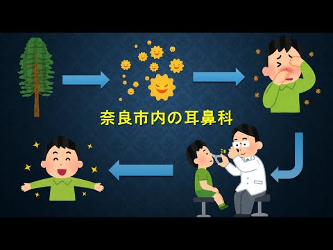 奈良市内の耳鼻科