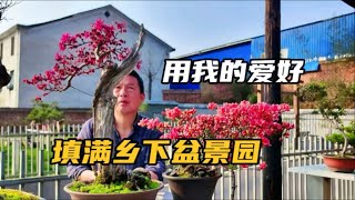 八个月赶在春天建好乡下盆景园