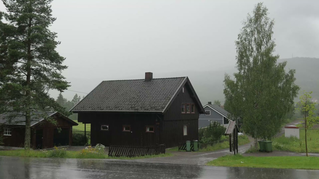 [環境音/ASMR]雨の降る音、生活音、森の音3時間/自然音#雨音  #環境音 #雨ASMR
