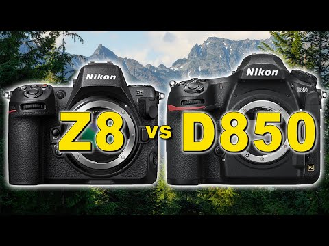 Nikon Z8 vs Nikon D850 - Image Quality Review