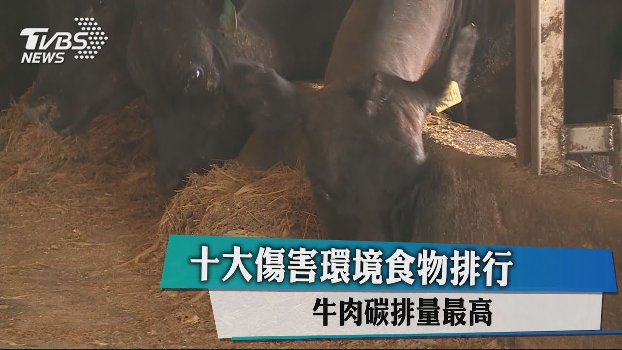 十大傷害環境食物排行 牛肉碳排量最高