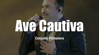 Conjunto Primavera - Ave Cautiva (LETRA)