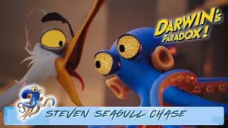 Darwin's Paradox! Steven the Seagull Chase